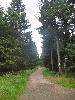 Radelweg
