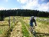 Wiesenfahrt V