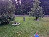 frohe Botschaft