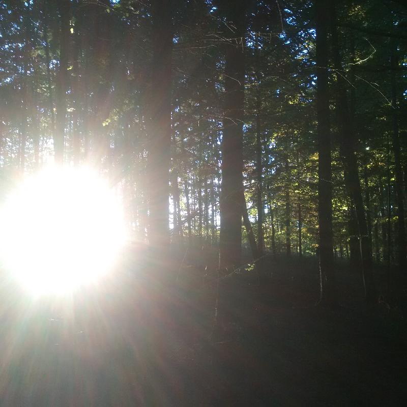 Seht ihr dieses Licht?!?